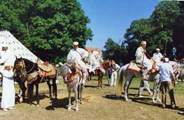 Cavaliers marocains au Moussem de Thorey-Lyautey en 1988. Grand ciel bleu dans le parc du château.